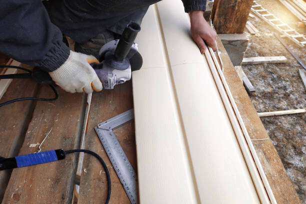Best Custom Siding Design  in Hollister, MO