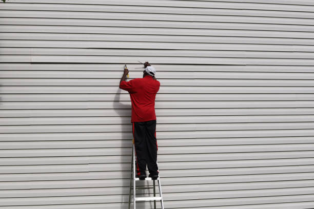 Trusted Hollister, MO Siding Experts