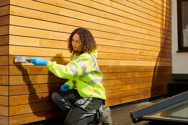Best Siding for New Construction  in Hollister, MO