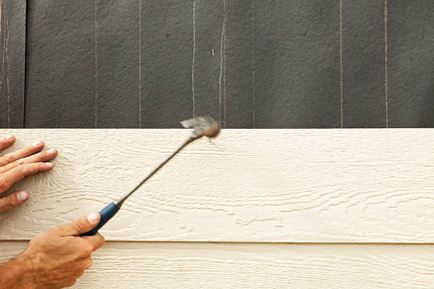 Affordable Siding Repair and Maintenance Services in Hollister, MO