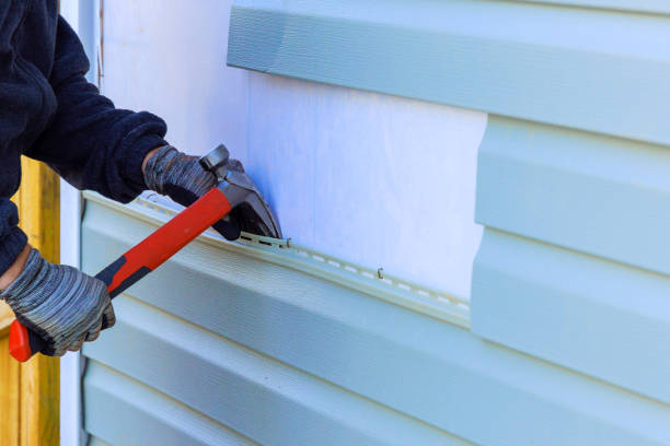 Best Steel Siding Installation  in Hollister, MO